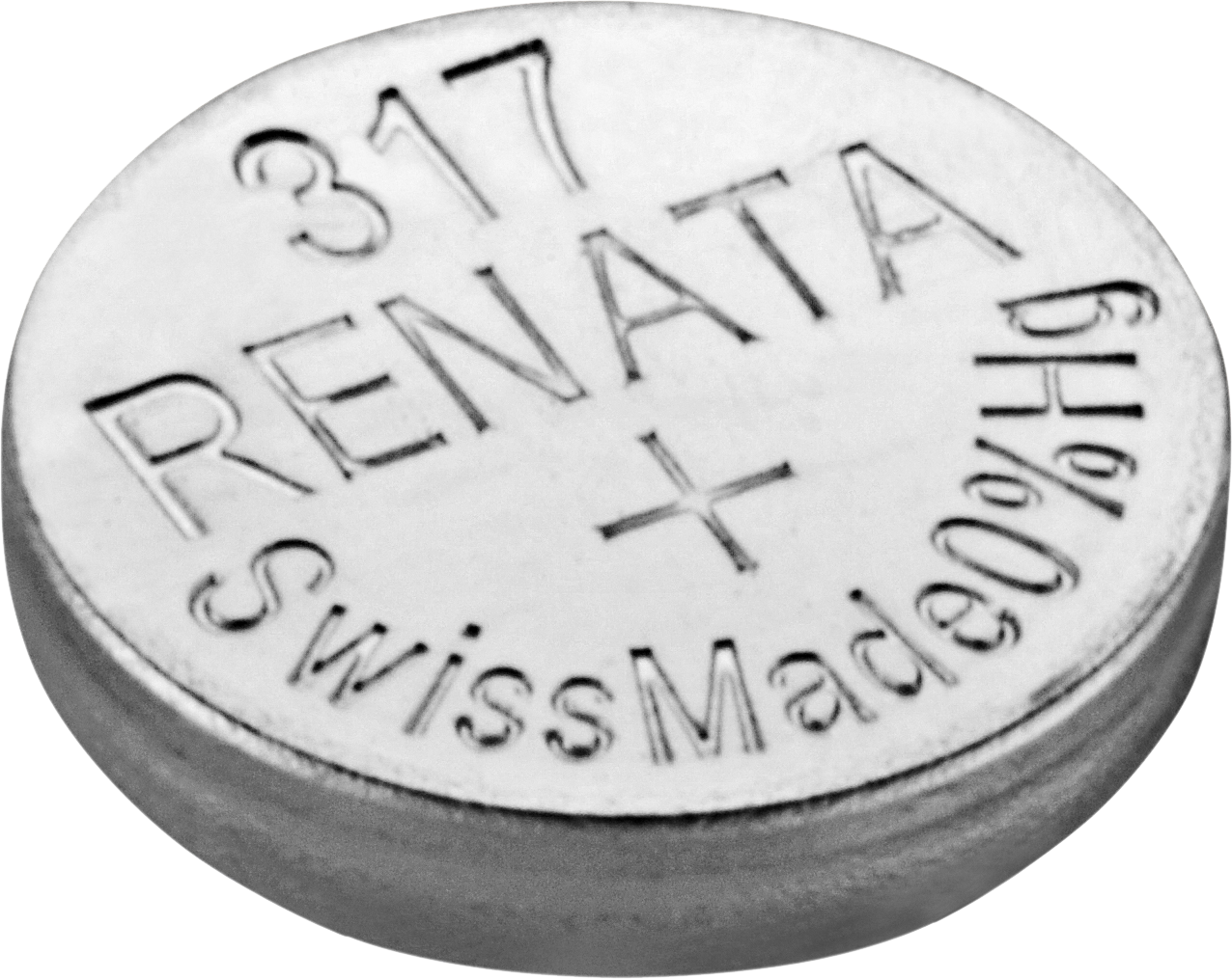 317 RENATA