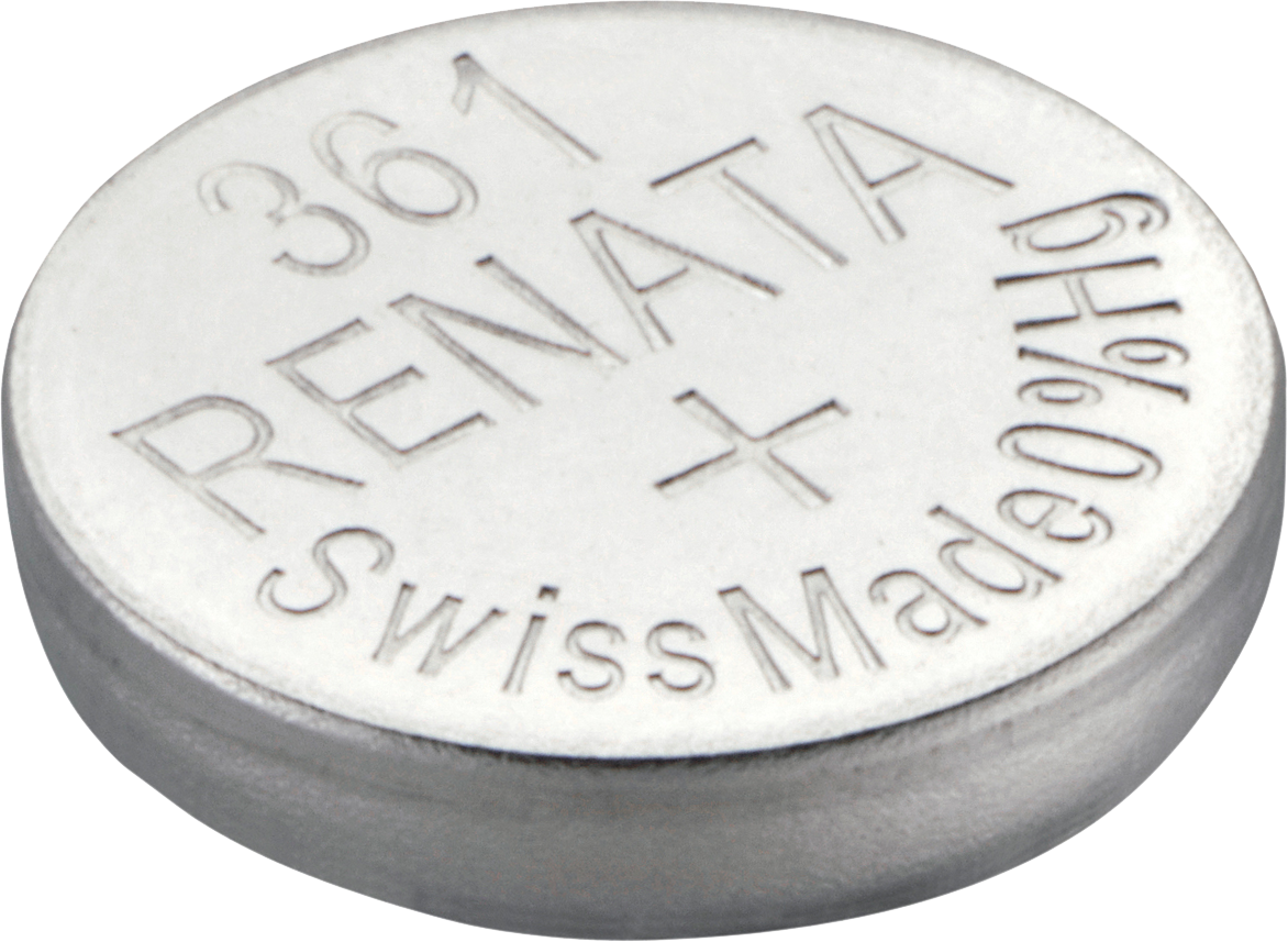 361 RENATA