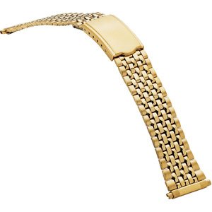 Spring-End Adjustable Link Band