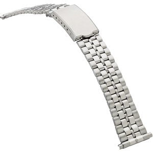 Spring-End Adjustable Link Band