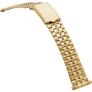Spring-End Adjustable Link Band