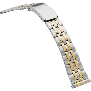 Spring-End Adjustable Link Band