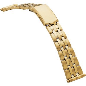 Spring-End Adjustable Link Band
