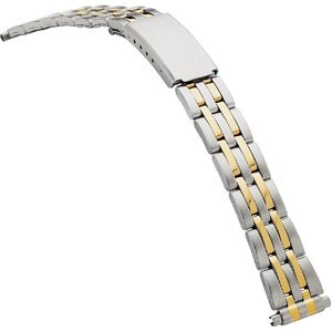 Spring-End Adjustable Link Band