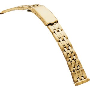 Spring-End Adjustable Link Band