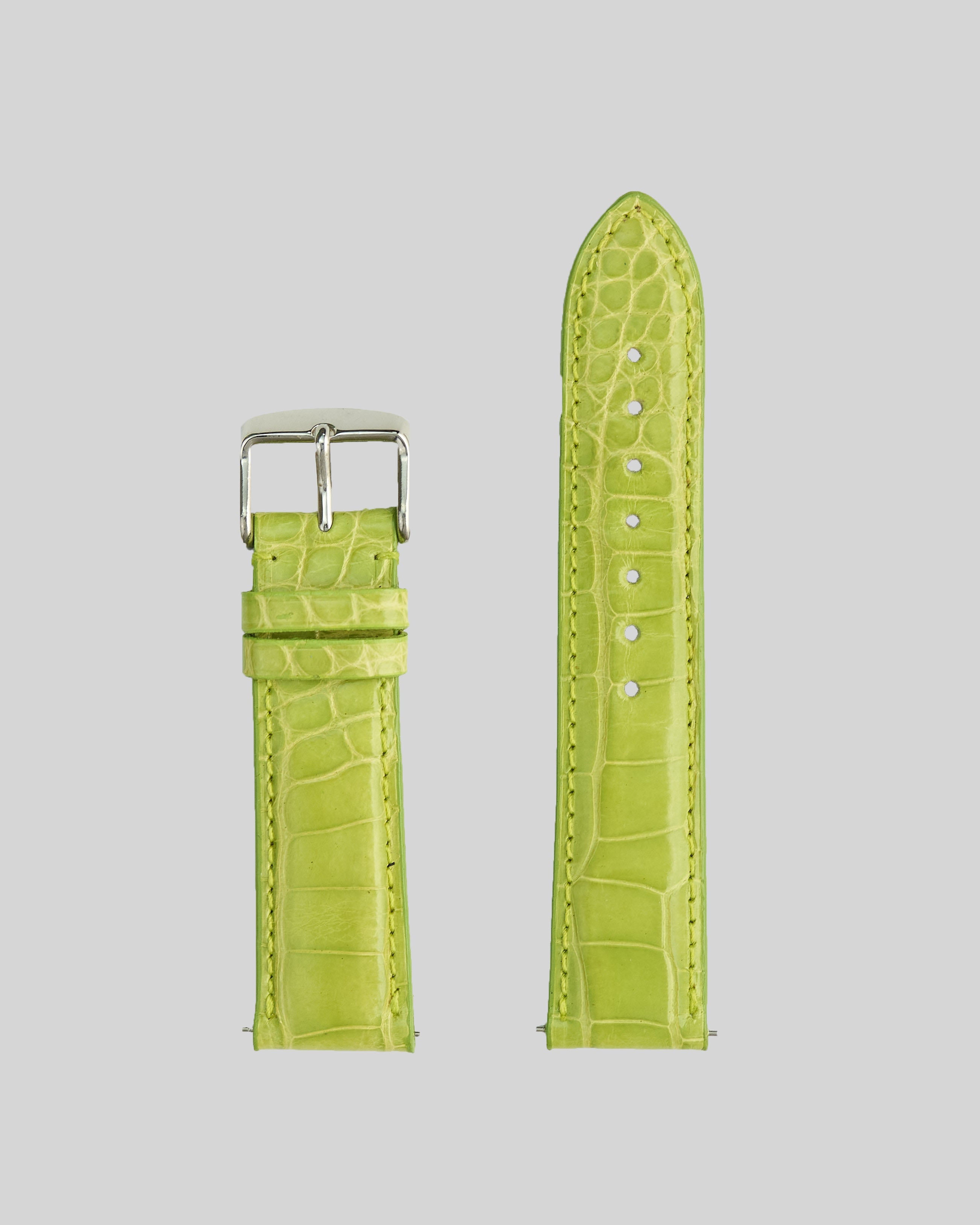 Genuine Shiny Alligator | USA - Traditional